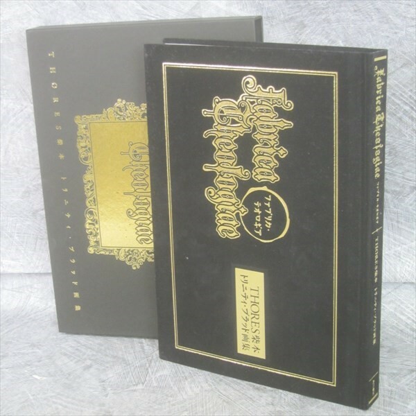 TRINITY BLOOD Gashu FABRICA THEOLOGICA Thores Shibamoto Art Book 2005 SeeConditi