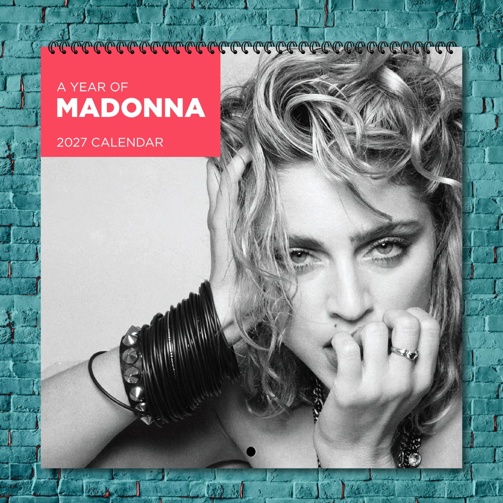 Madonna 2027 Wall Calendar 12 Month Celebrity Photo Fan Collectible