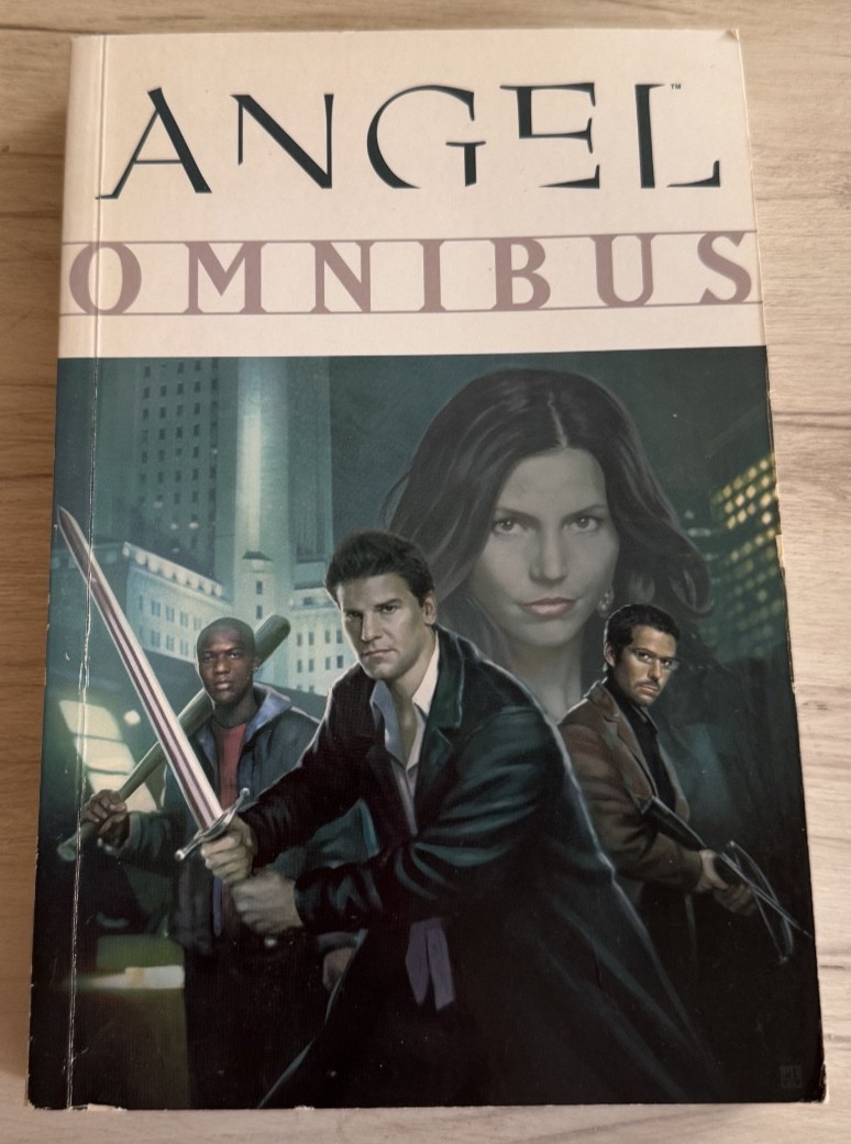 Angel Omnibus (Dark Horse Comics July 2011) Used Condition