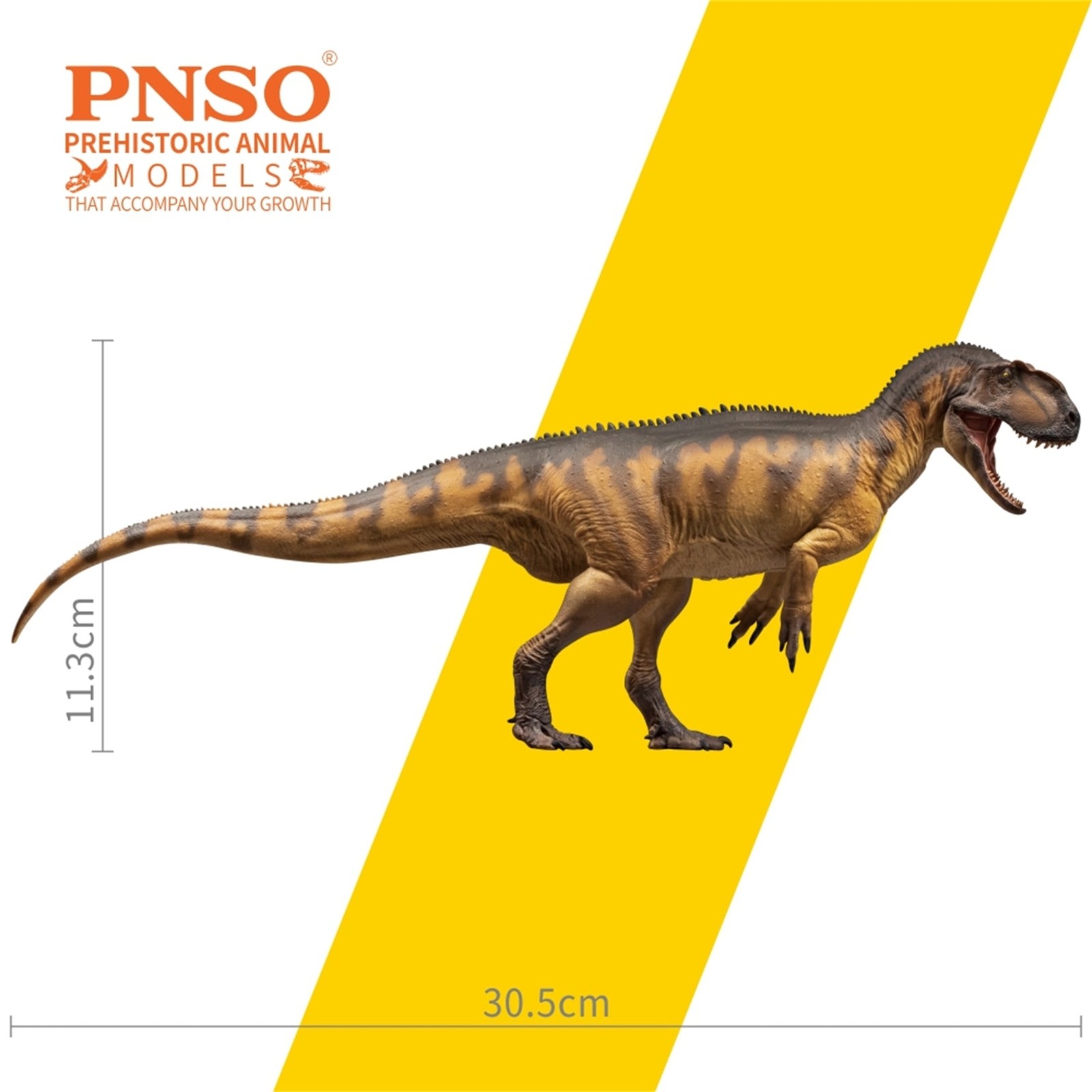 PNSO 76 Yangchuanosaurus Magnus Dapeng Dinosaur Model Theropoda Collection Decor