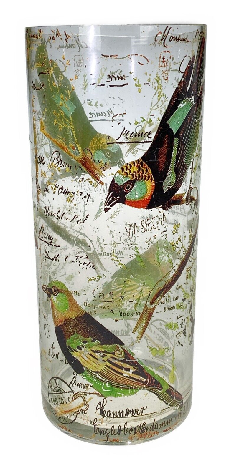 14” Large Glass Cylinder Vase Bird Romantic Victorian Distressed Wedding