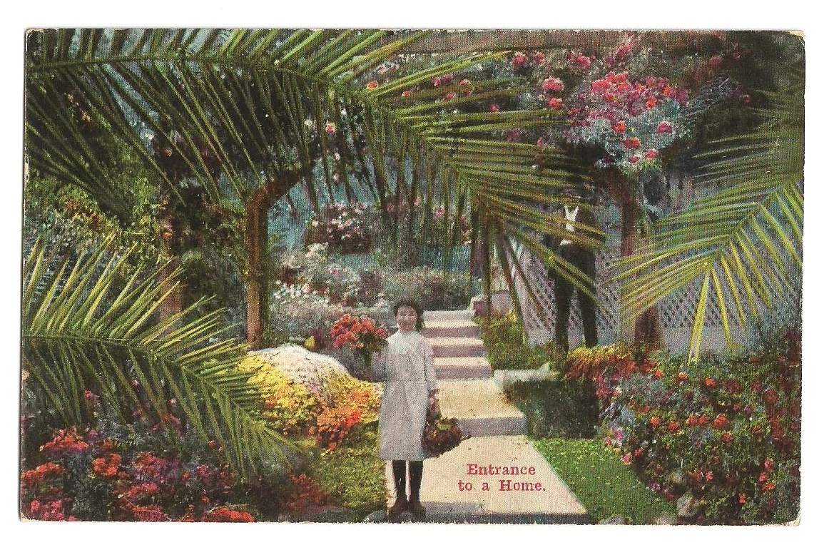 Entrance to a Home Postcard Tropical Landscaping c1910 Entrance to a Home Postcard Tropical Landscaping c1910