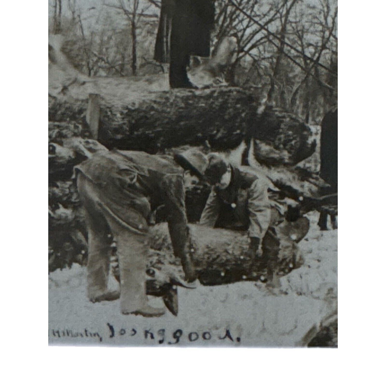Antique RPPC Postcard Ephemera Early 1900s 5 Guys Loading Deer Onto Horse Sled