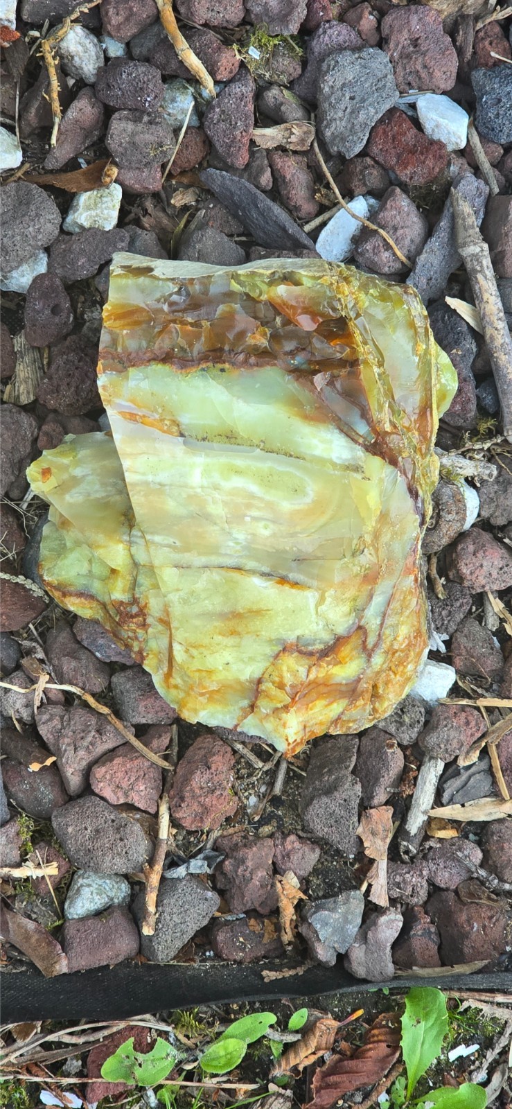 Oregon opal on rhyolite jasper