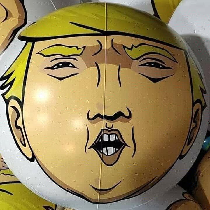Donald Trump 2024 Large 24\