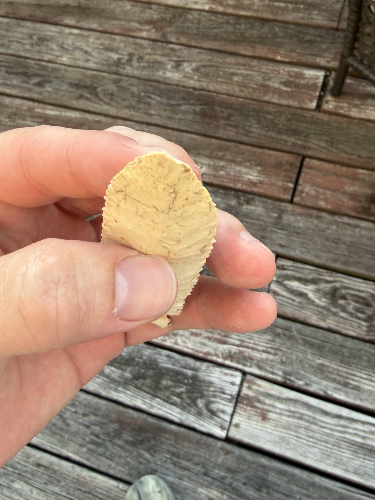 STILWELL ARROWHEAD ILLINOIS ANCIENT AUTHENTIC NATIVE AMERICAN ARTIFACT 