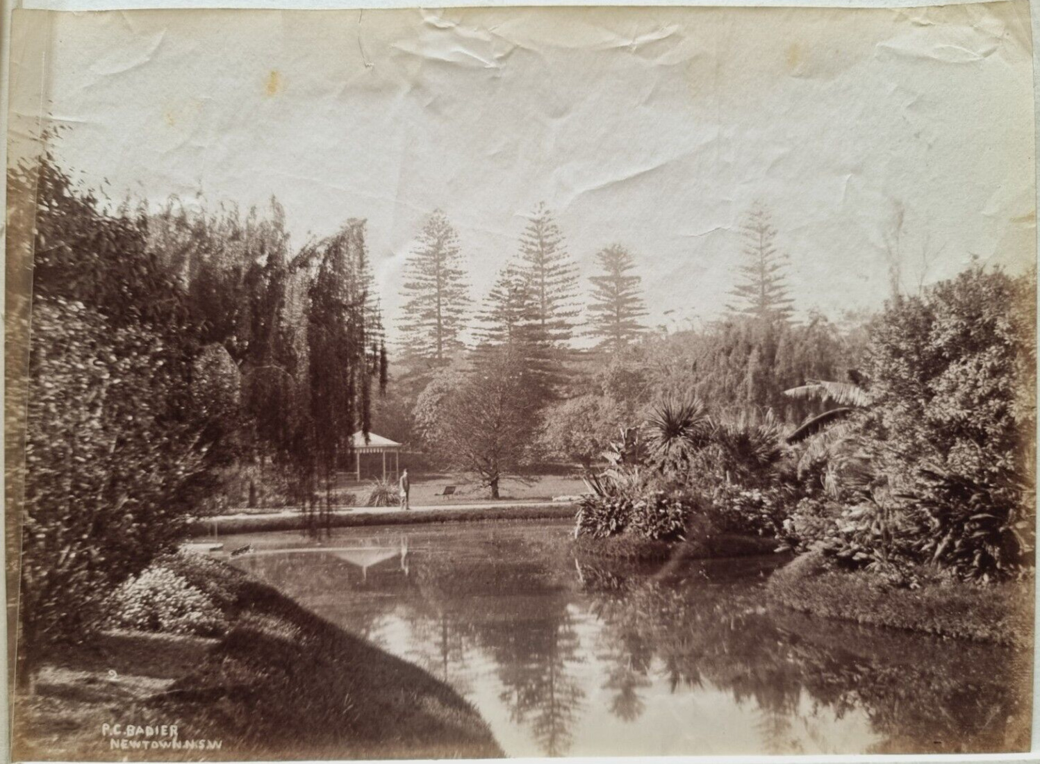 c 1883 SCARCE PHOTO SYDNEY BOTANIC GARDENS AUSTRALIA by P C BADIER NEWTOWN NSW