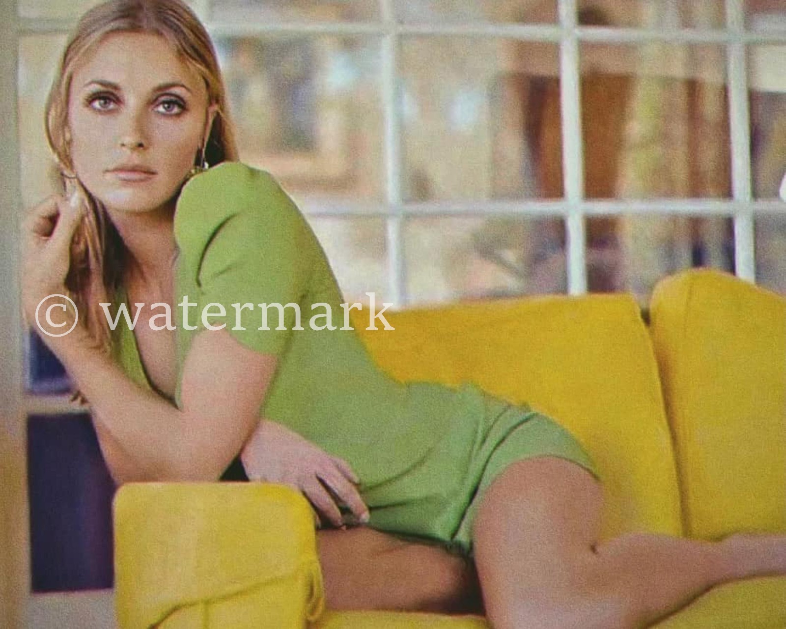 Sharon Tate Vintage 1960s Hollywood Actress  8x10 Publicity Photo Celebrity