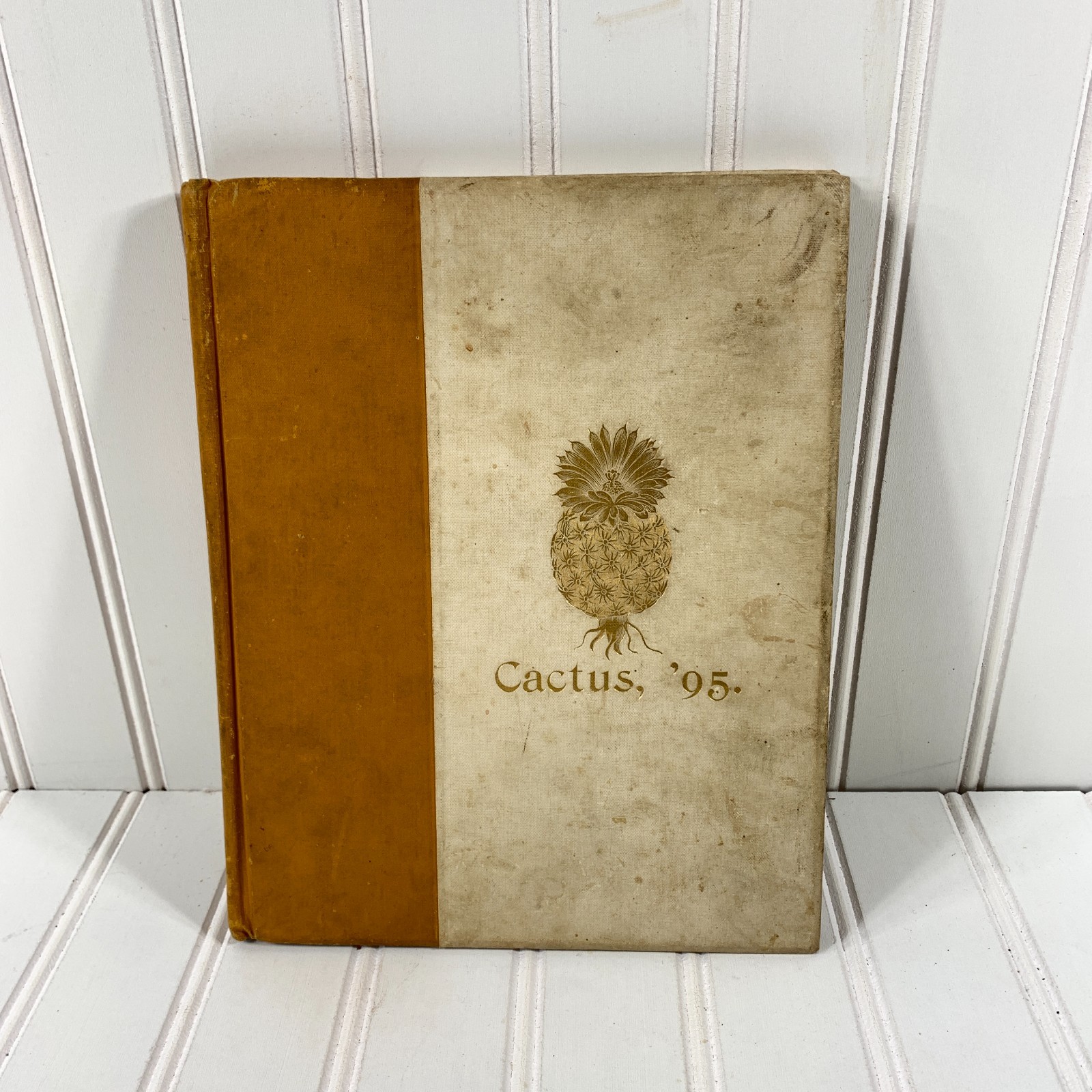 Vintage 1895 (Vol 2) The Cactus Yearbook University of Texas Austin Very Rare Vintage 1895 (Vol 2) The Cactus Yearbook University of Texas Austin Very Rare