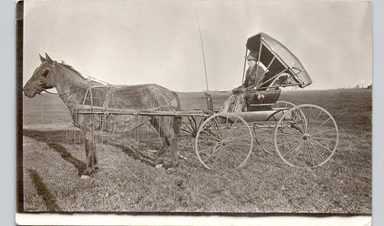 HORSE-DRAWN BUGGY nevada ia c1910 postcard iowa real photo rppc dirt road