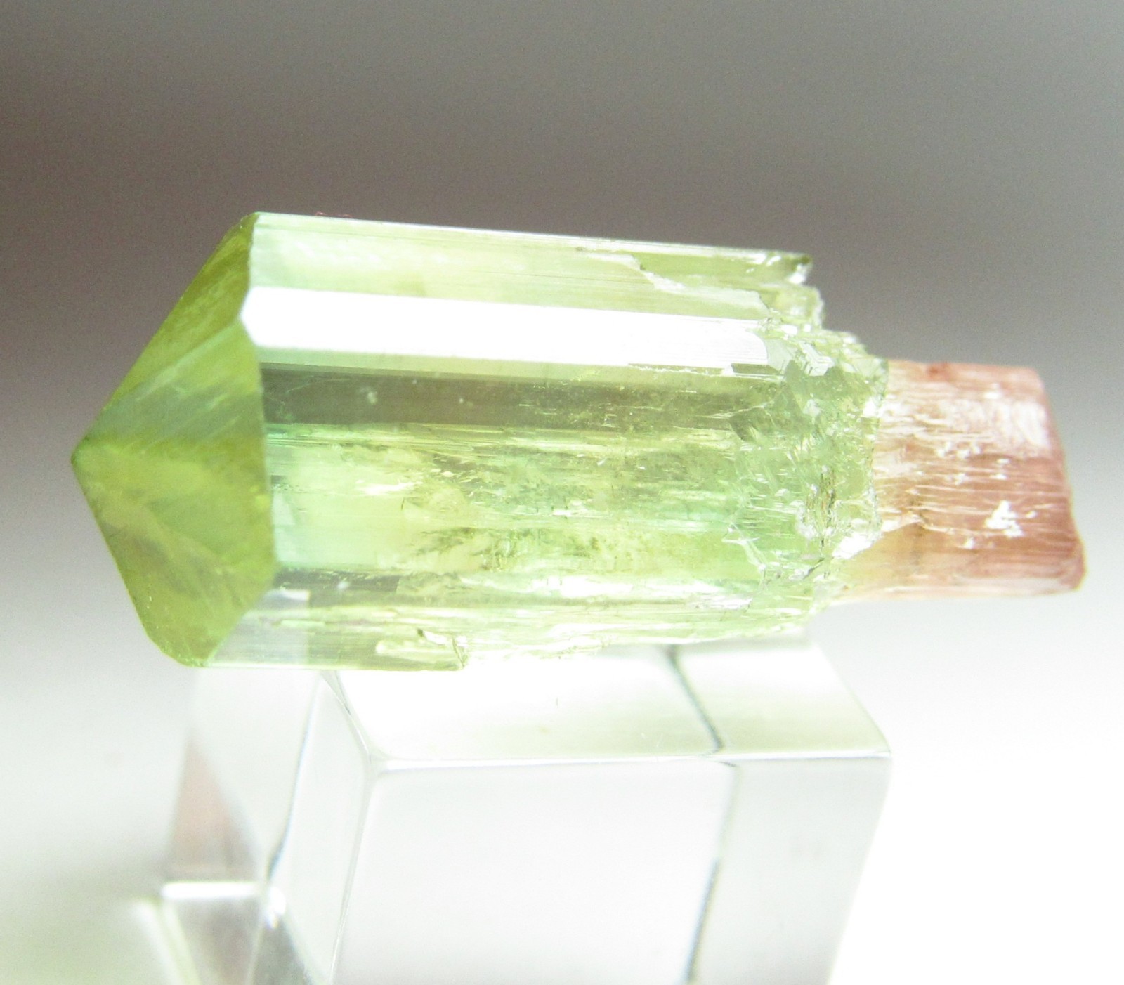 BREATHTAKING CLEAR GEM TOURMALINE CRYSTAL SCEPTER BARRA DO SALINAS BRAZIL 