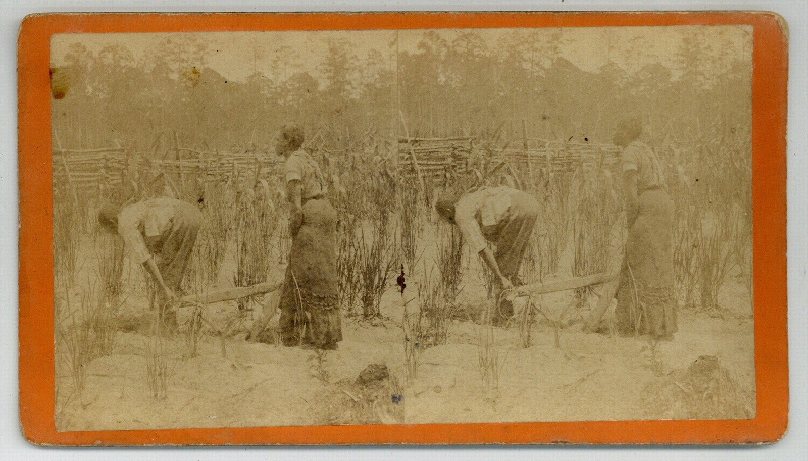 African American Sharecropper 1870 O Pierre Havens Photo Savannah Georgia J14800