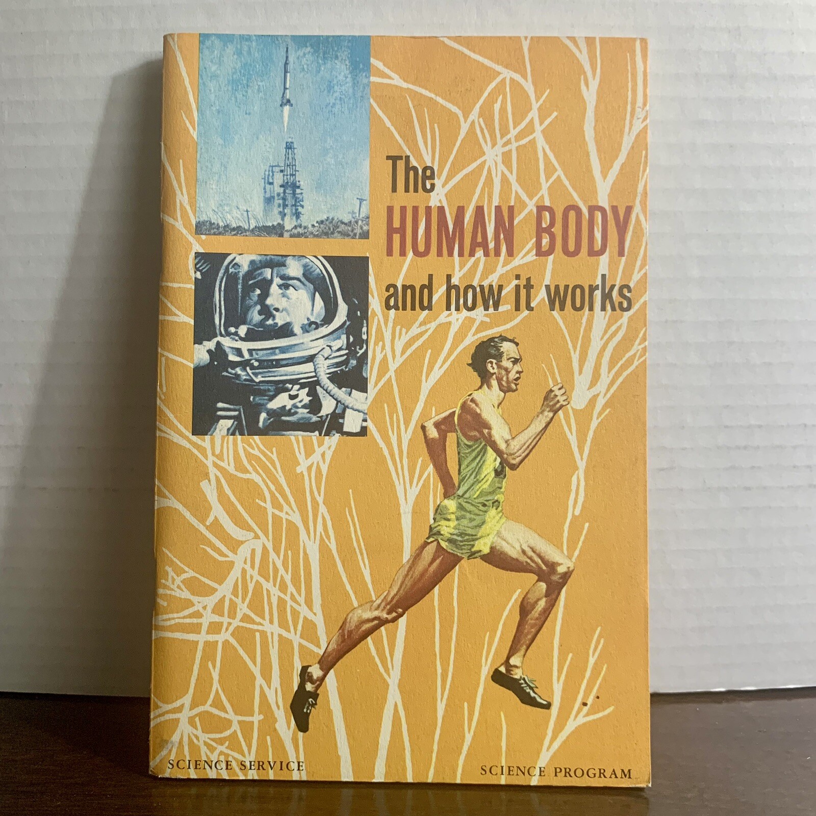 Vintage 1961 The Human Body And How It Works Science Service Booklet N Doubleday
