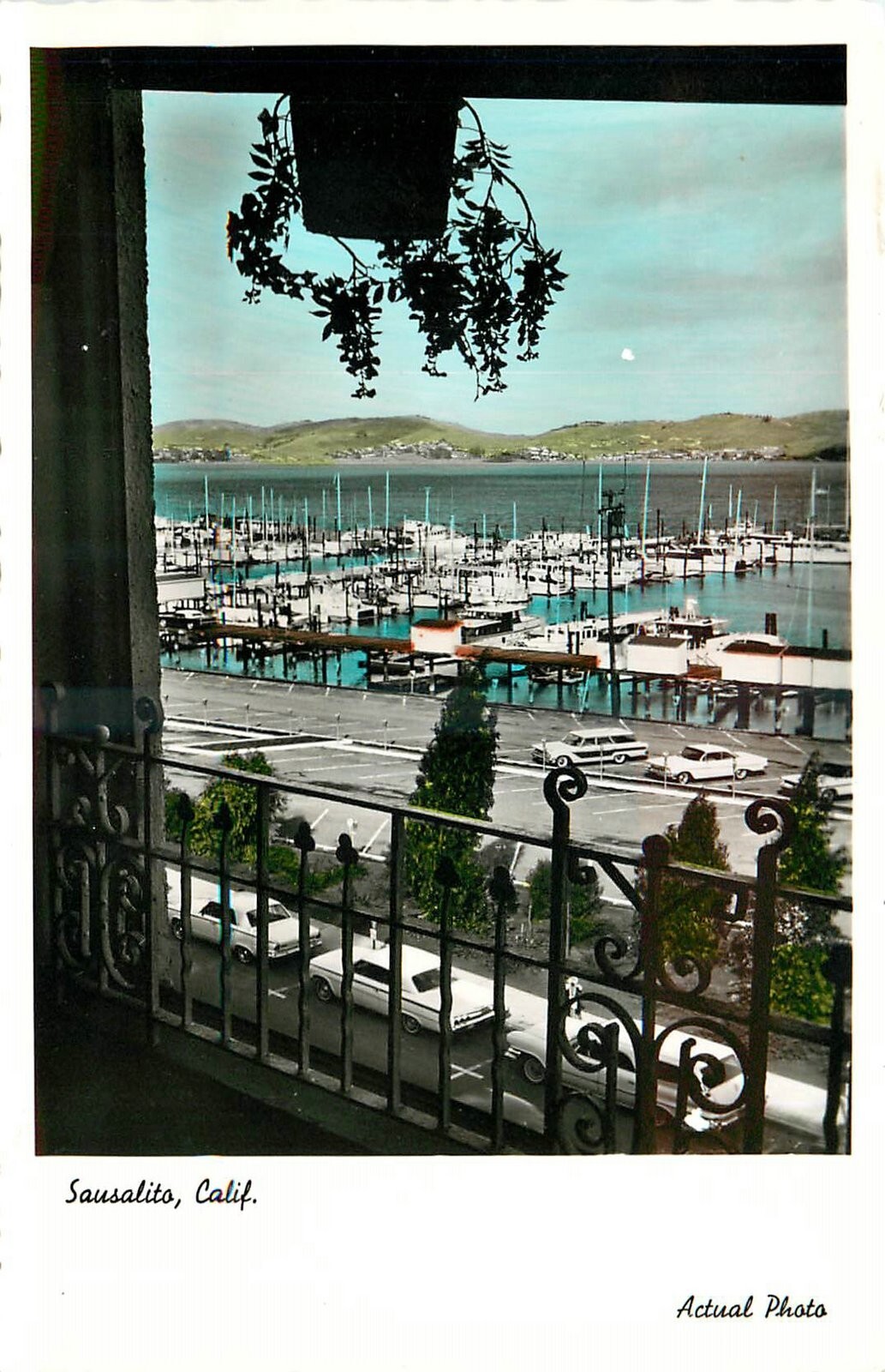 1960s Sausalito California Beautiful Harbor Actual Photo RPPC Postcard 25-5078