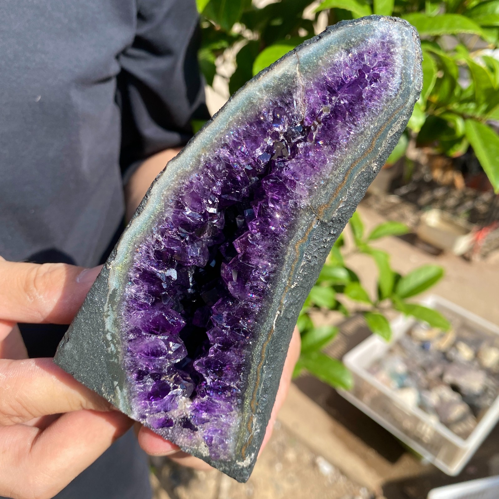 595G Natural Amethyst geode quartz cluster crystal specimen Healing