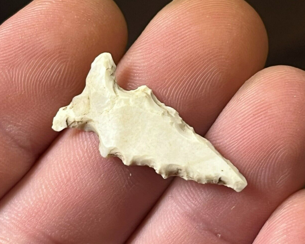 OUTSTANDING REED POINT MISSOURI ARROWHEAD AUTHENTIC INDIAN ARTIFACT B31