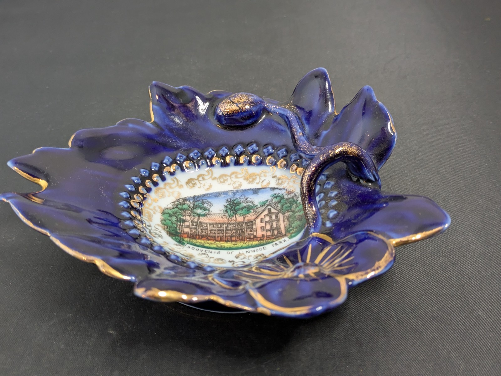 Vintage LINWOOD PARK, Vermilion,  OHIO  Souvenir LAKE ERIE Trinket Dish