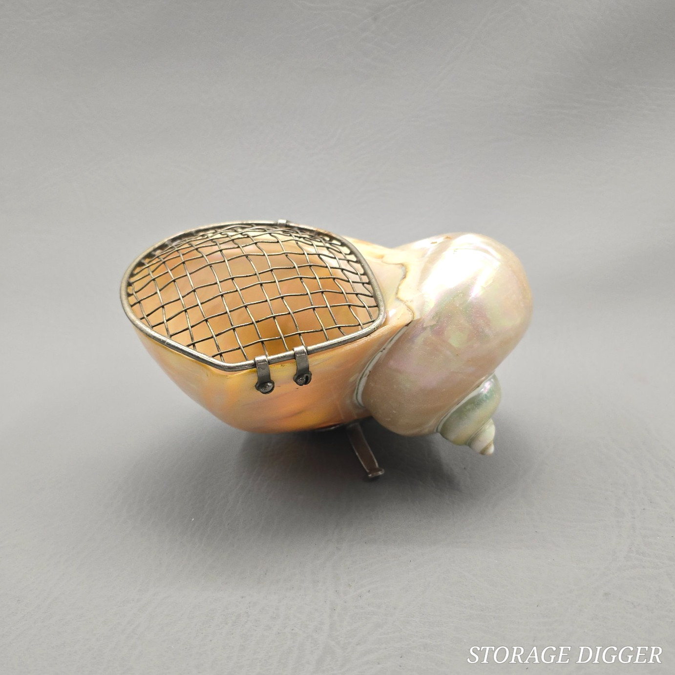 Vintage Turbo Seashell Trinket Dish/Pomander, Metal Legs and Hinged Mesh Lid