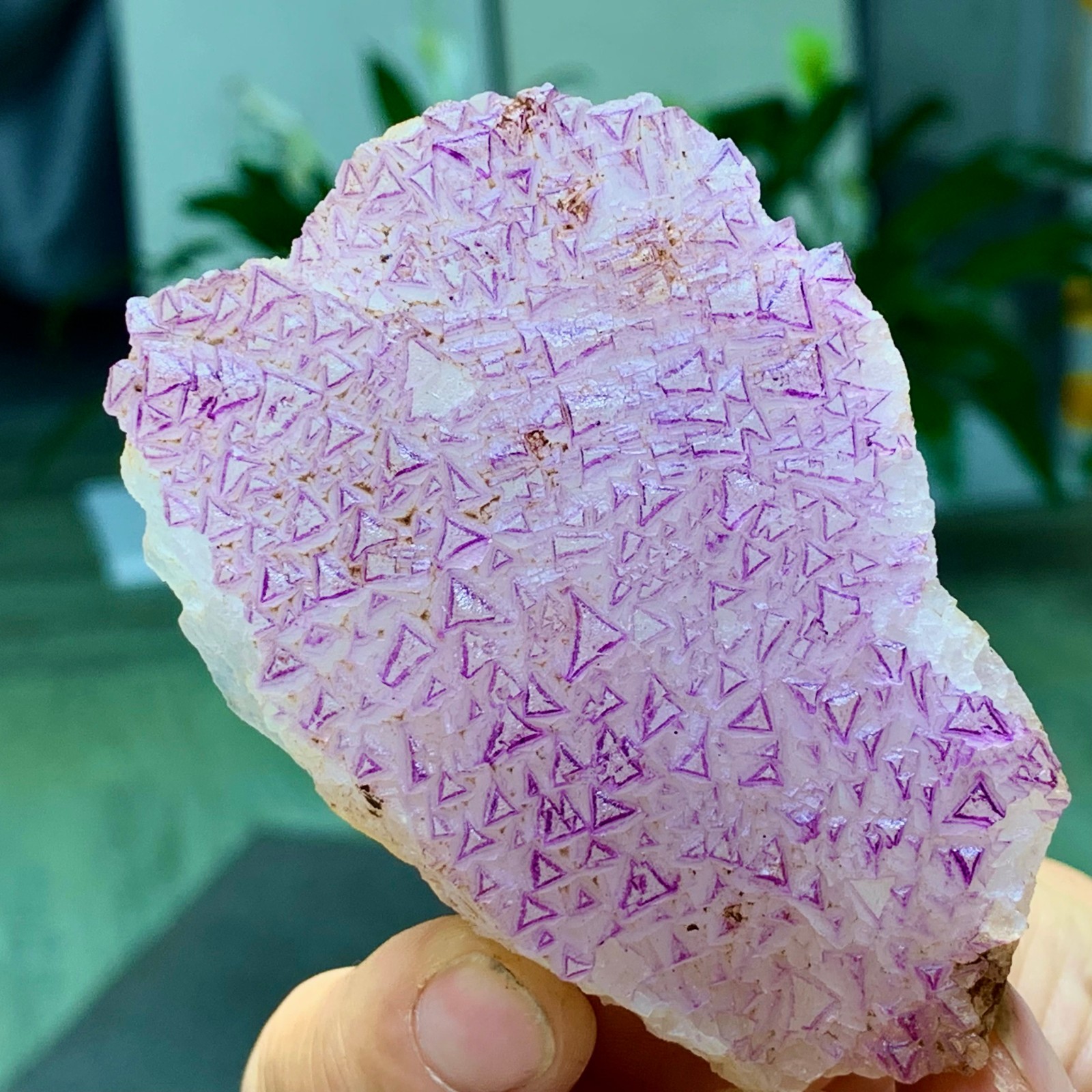 151G Natural fluorite purple edged cubic crystal mineral sample