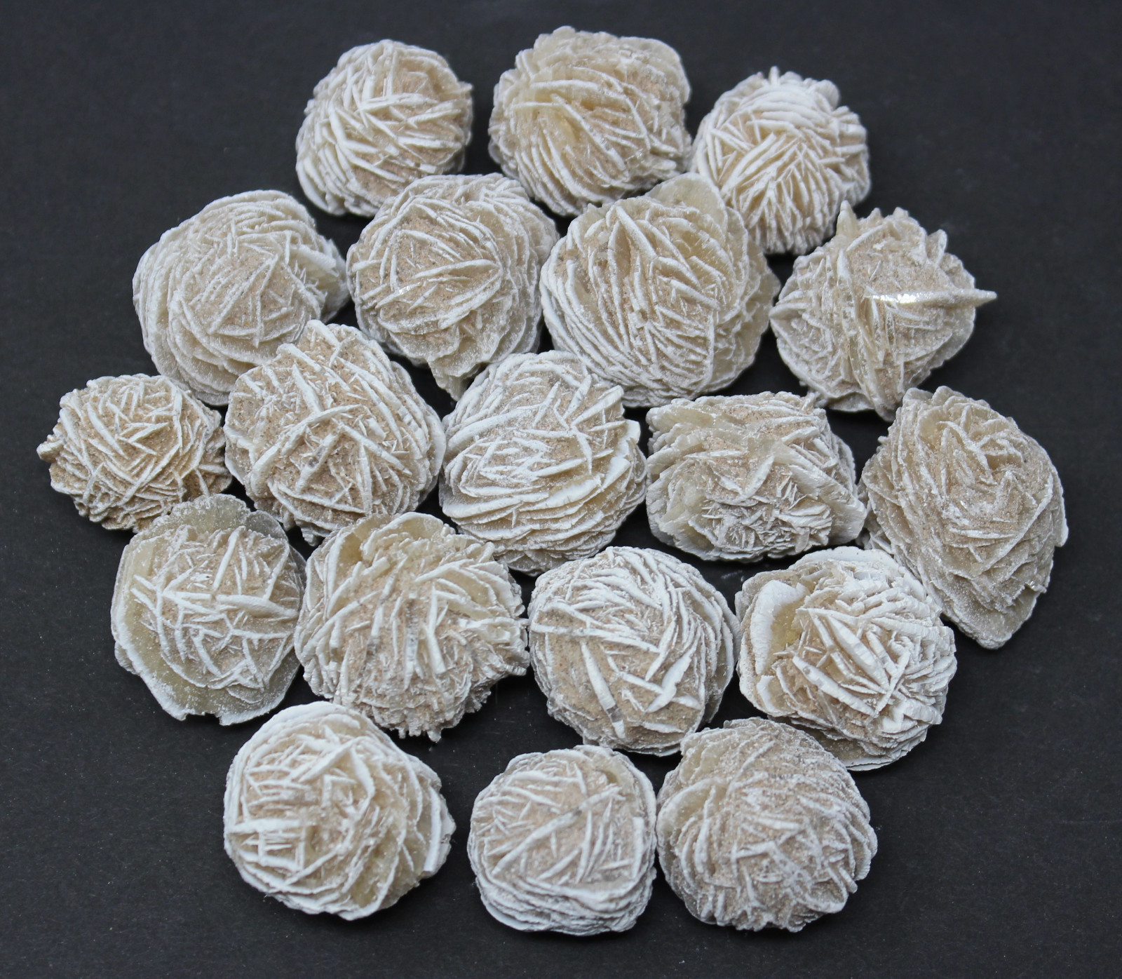 4 oz Desert Rose Selenite Buds Rough Natural Stones ('A' Grade) 1/4 lb