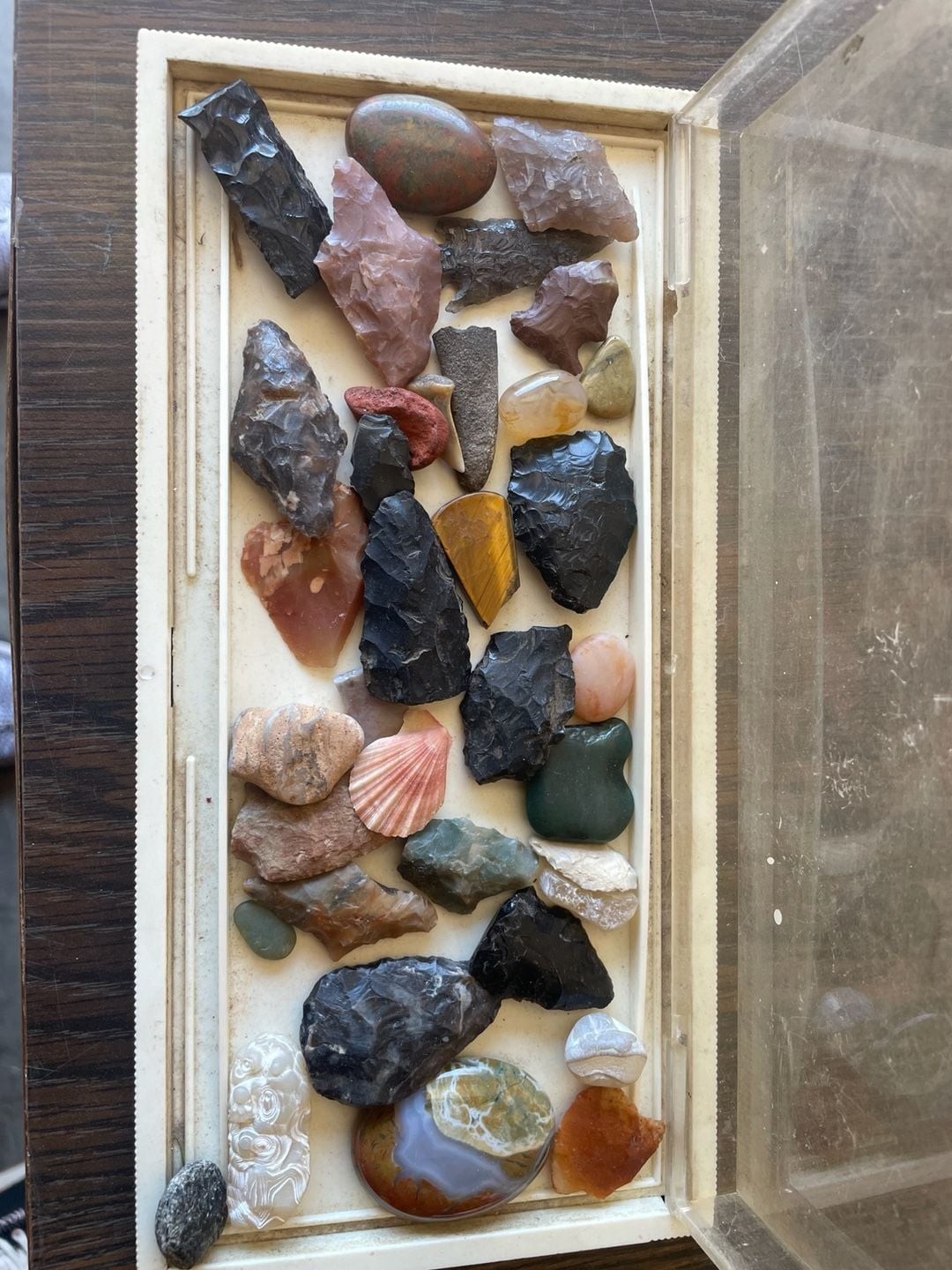 Mixed Rockhound Collection Display Case – Minerals, Stones, Shells, Arrowhead- Mixed Rockhound Collection Display Case – Minerals, Stones, Shells, Arrowhead-