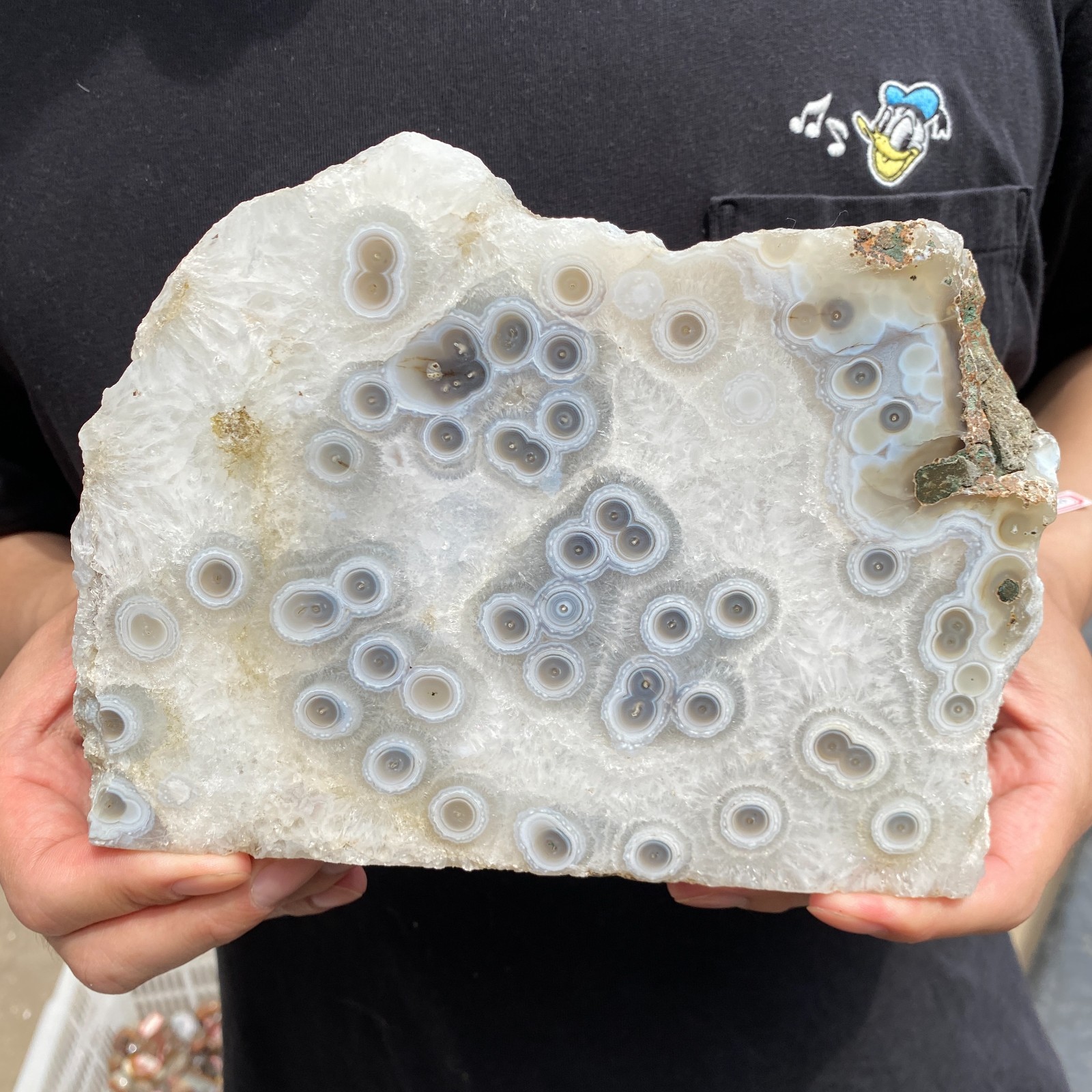 3.9LB Natural banded Moss Agate crystal slice rough mineral specimen