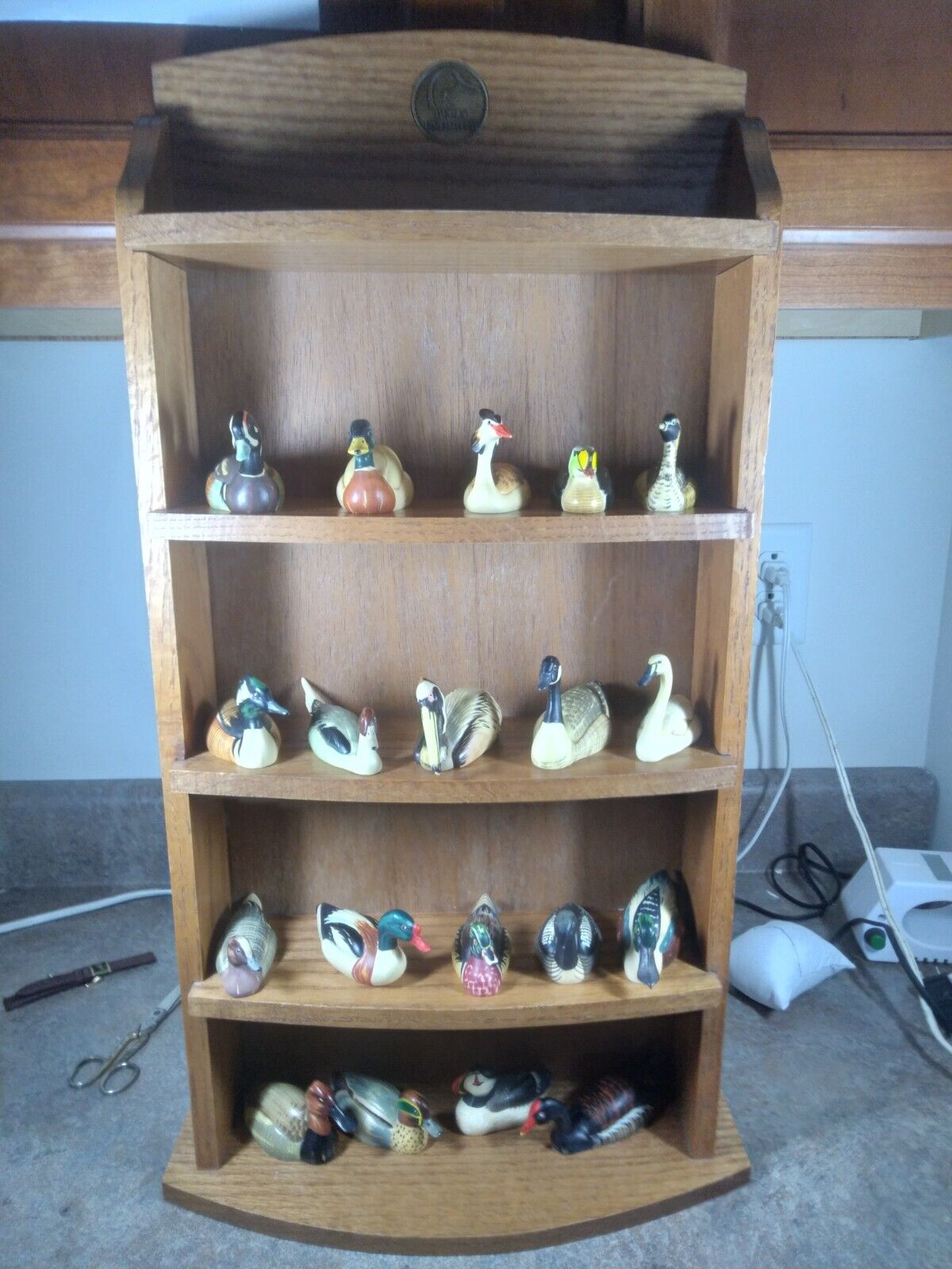 Lot Collection of 19 Anri Hand Painted Waterfowl Collection Duck Decoy - Italy