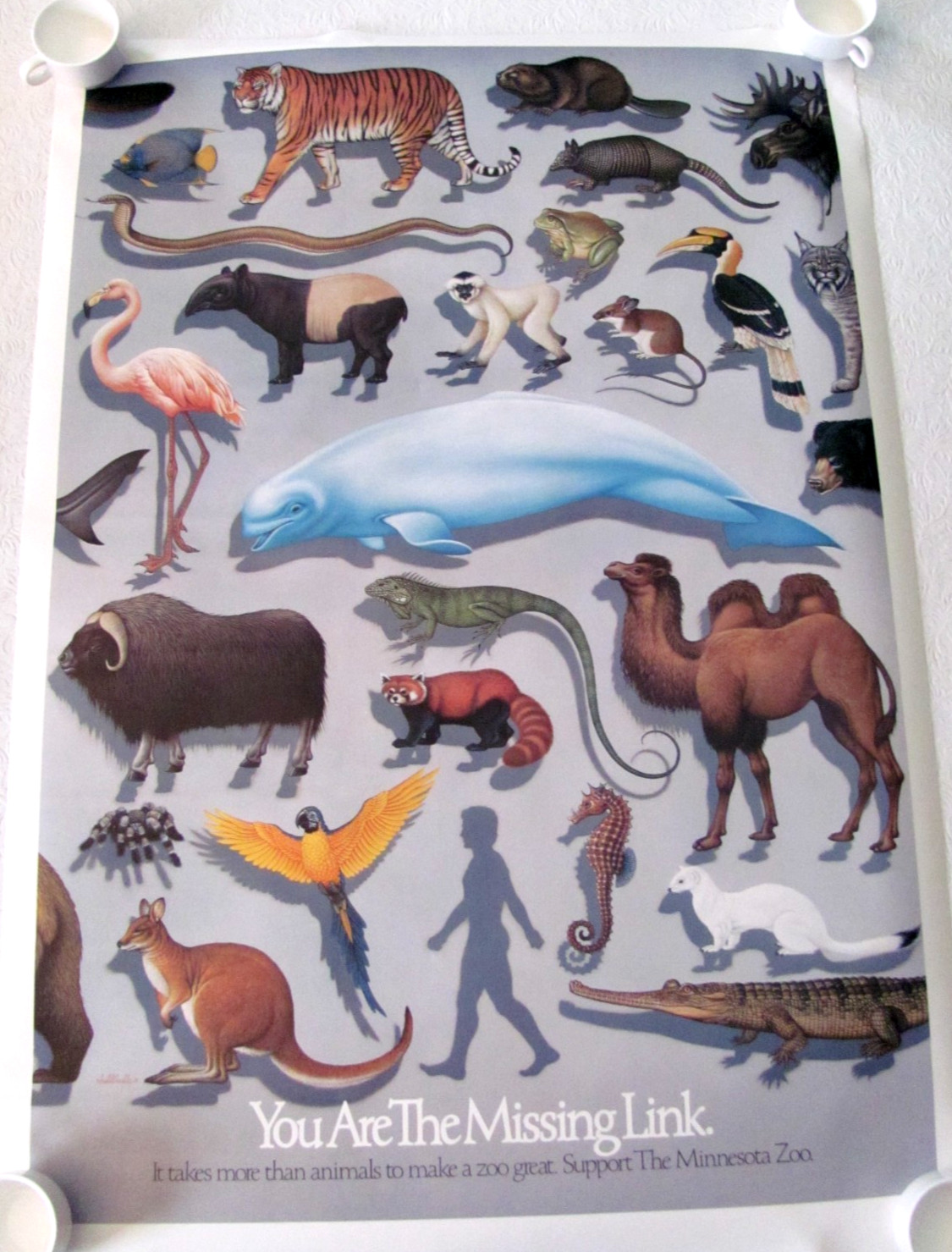 Minnesota Zoo Missing Link Poster by artist Braldt Balds 1984