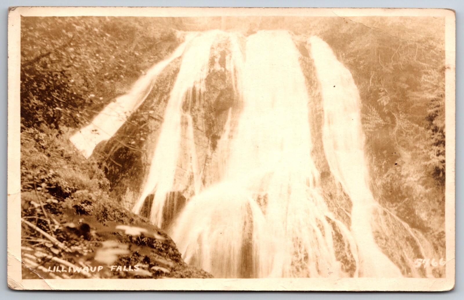 Lilliwaup Falls Washington Posted Bremerton 1925 RPPC Postcard