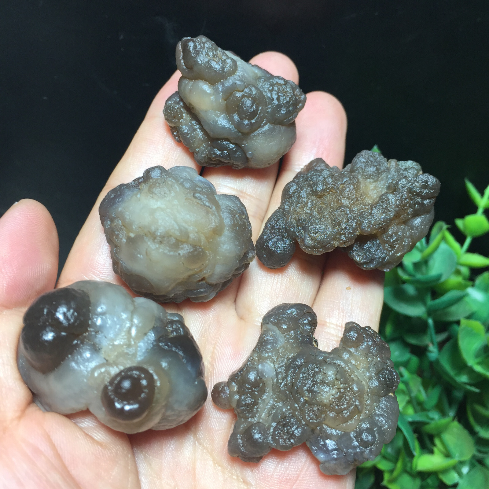107g 5pcs Natural Bonsai Suiseki-Natural Gobi Agate Eyes Stone-Rare Stunning 329