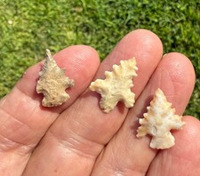 Group of 3 Texas” Steiner”Arrowpoints  100% Guaranteed Authentic Indian Artifact picture