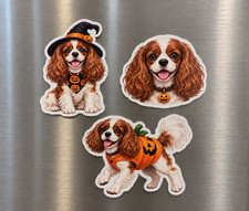 Halloween Cavalier King Charles Spaniel Dog Magnets Set of 3 Pumpkin Fridge Deco picture