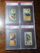 1889 Allen Ginter Game Birds N13 PSA 2 Scarlet Ibis Cormorant Bittern N5 Tropics picture