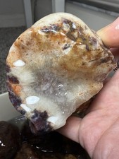 Lake Superior Agate Sagenite Spray Tube Plumes  11oz+ picture
