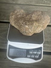 Super Unique Unbroken Heart Shaped Kentucky Geode picture