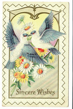 Antique Embossed Sincere Wishes Postcard Doves Flowers To Emma Flora picture
