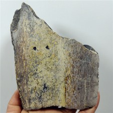 4.9