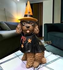 The Humane Society Halloween Wizard Labradoodle Brown Poodle Hat Glasses Costume picture