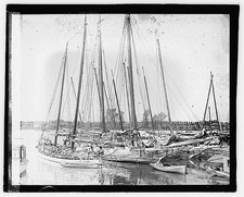 Photo:Waterfront Scene 1921 Sailboats Harbor Marina Docks Yachts picture