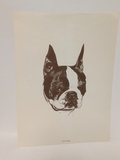 Vintage Boston Terrier Portrait Purina Dog Chow 8 5/8