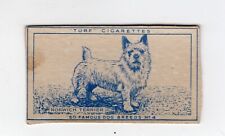 Dogs 1952 Cigarette Card #04 Norwich Terrier picture