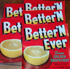 40+ Vintage Better 'N Ever Brand Texas Golden Grapefruit Crate Labels - Pharr TX picture
