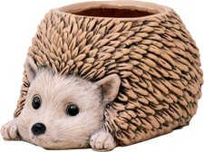 Spoontiques Hedgehog Flower Pot, Hand-Painted Resin Indoor/Outdoor Planter picture