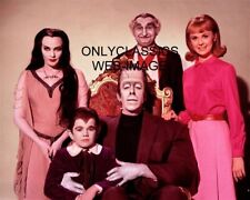 THE MUNSTERS TELEVISION SHOW 8X10 CAST PHOTO FRANKENSTEIN SCARY SPOOKY MONSTERS picture