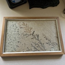 Framed natural manganese oxide dendrite embedded in sandstone slab  picture