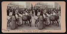 Photo:Cairo Egypt 1903 Arab Bazaar Donkey Market Stereoscopic Street Scene picture
