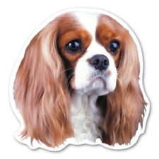 Cavalier King Charles Spaniel Magnet picture