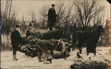Exaggeration 1909 RPPC Minnesota Loading Giant Rabbits After Hunting Trip picture