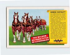 Postcard Horse Royalty A Winning Team Wilson Six Horse Hitch of Clydesdales picture