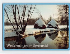Postcard Wintermorgen im Spreewald Germany picture